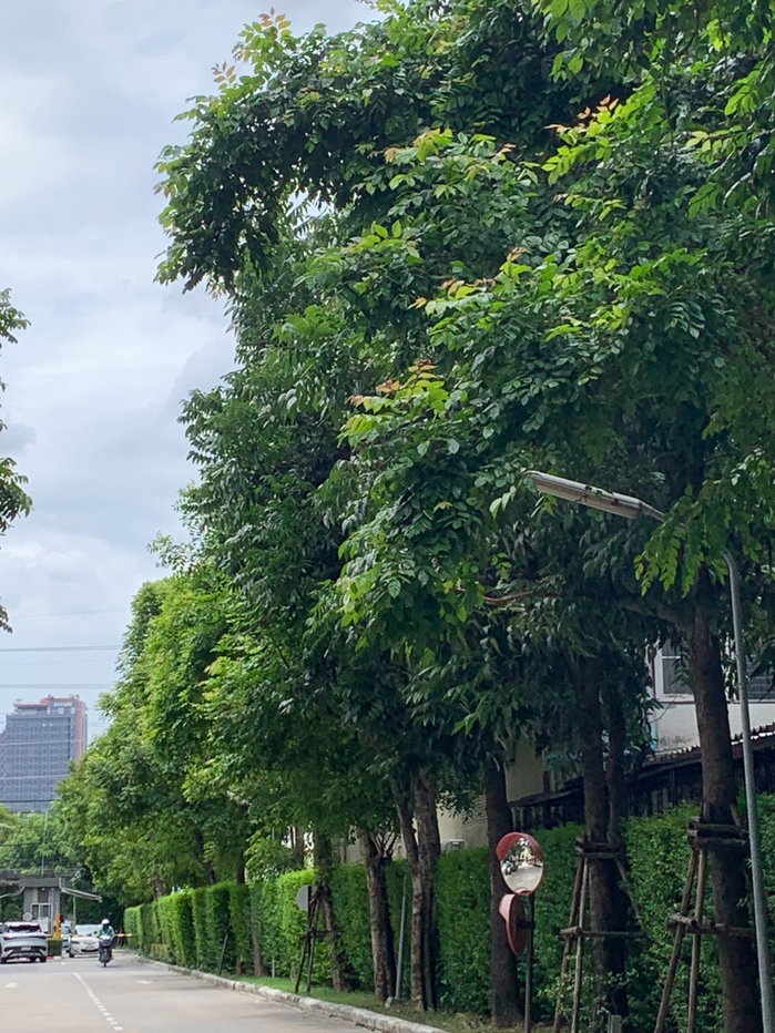 รูป ขายคอนโดโซนเทพารักษ์ สมุทรปราการ - รูปที่ 22/22