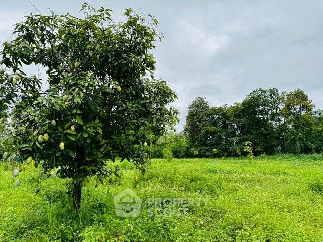 รูป ที่ดินสำหรับขาย ขนาด 1,740 ตร.ม. ใกล้สนามบินนานาชาติเชียงใหม่ สุเทพ (ID 2659707) - รูปที่ 3/3