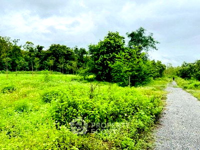 ที่ดิน สำนักงานขนส่งจังหวัดเชียงใหม่ : ที่ดินสำหรับขาย ขนาด 1,740 ตร.ม. ใกล้สนามบินนานาชาติเชียงใหม่ สุเทพ (ID 2659707)