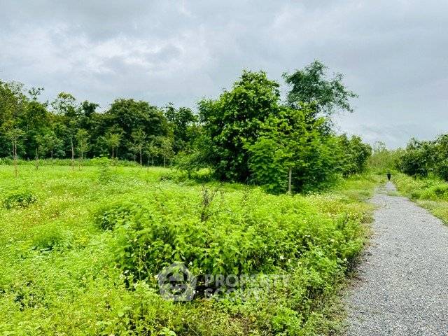 รูป ที่ดินสำหรับขาย ขนาด 1,740 ตร.ม. ใกล้สนามบินนานาชาติเชียงใหม่ สุเทพ (ID 2659707) - รูปที่ 1/3