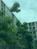 listing thumbnail image 19
