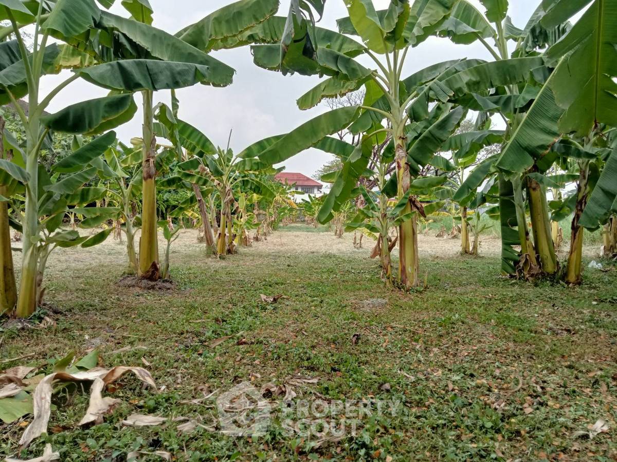 รูป ขายที่ดิน สุขุมวิท? (สั่งไม่ได้) สวนหลวง กรุงเทพ ใกล้ ARL หัวหมาก 📍 (ID 2688984) - รูปที่ 3/3