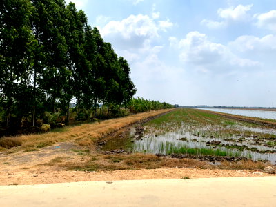 Land for sale : Sale of land: 23 rai 96 square wah, Khlong Preng, Mueang Chachoengsao District. Price negotiable.