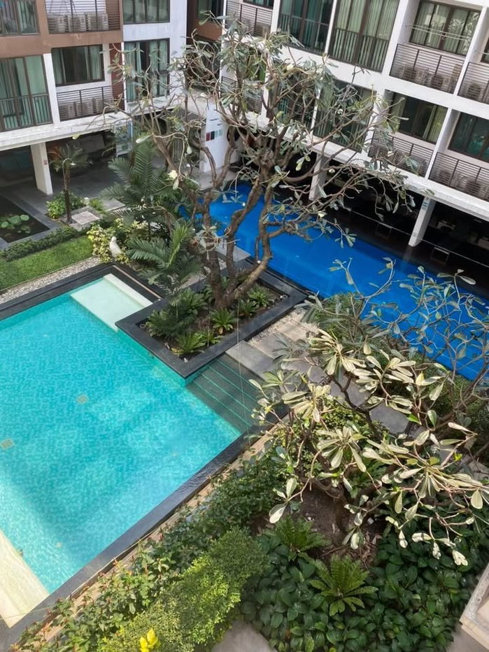 รูป เช่าคอนโด IDEO Blucove Sathorn/ไอดีโอ บลูโคฟ สาทร (D6904023) ID Line : @condo98 - รูปที่ 8/8
