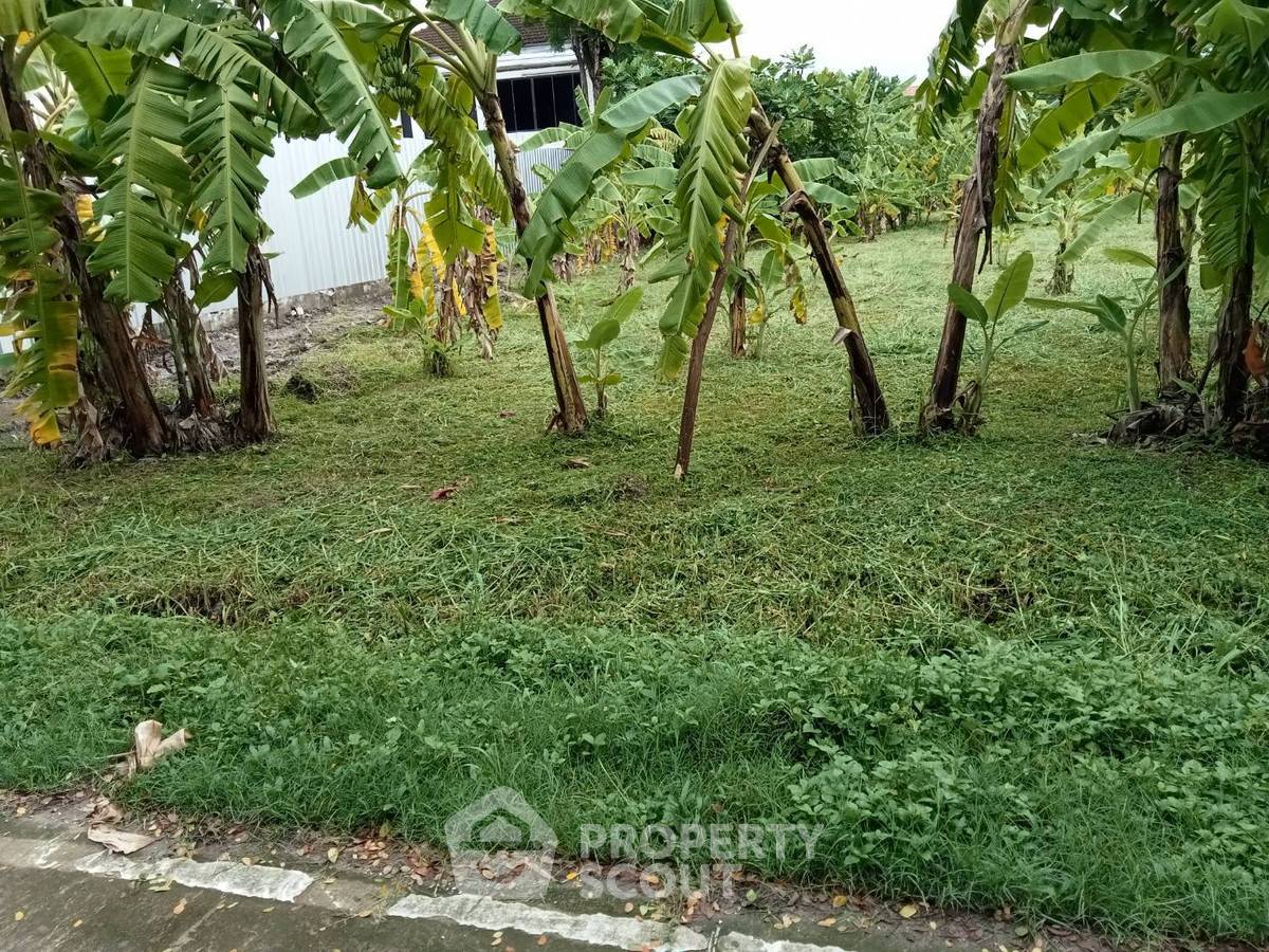 รูป ขายที่ดิน สุขุมวิท? (สั่งไม่ได้) สวนหลวง กรุงเทพ ใกล้ ARL หัวหมาก 📍 (ID 2688984) - รูปที่ 2/3
