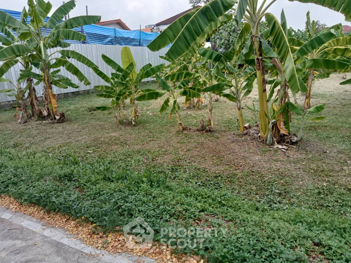 รูป ขายที่ดิน สุขุมวิท? (สั่งไม่ได้) สวนหลวง กรุงเทพ ใกล้ ARL หัวหมาก 📍 (ID 2688984) - รูปที่ 1/3