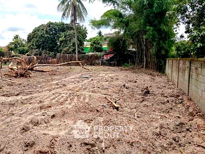 ที่ดิน สำนักงานขนส่งจังหวัดเชียงใหม่ : ที่ดินขาย 197 ตร.ม. ในเมืองเชียงใหม่ เขตศรีภูมิ เมืองเชียงใหม่ (ID 2807538)