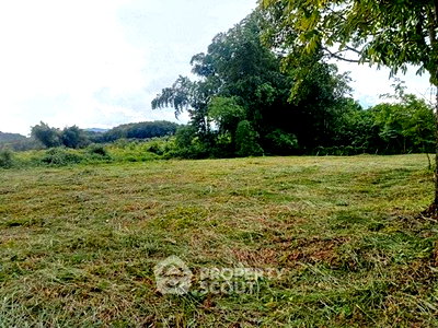 ที่ดิน สำนักงานขนส่งจังหวัดเชียงใหม่ : ขายที่ดิน 1,108 ตร.ม. นิมมานเหมินทร์ สุเทพ ใกล้ตัวเมืองเชียงใหม่ (ID 2803276)