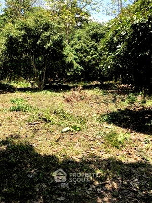 ที่ดิน สำนักงานขนส่งจังหวัดเชียงใหม่ : ที่ดิน 761 ตร.ม. ขาย ในย่านเชียงใหม่โอลด์ซิตี้ ศรีภูมิ เมืองเชียงใหม่ (ID 2807568)