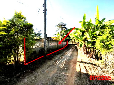 ขายที่ดิน : ที่ดินว่างเปล่า 250 ตร.วา บ้านโฮ่ง ลำพูน 300,000