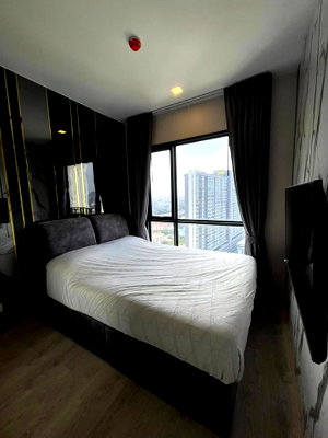 คอนโดให้เช่า : เช่าคอนโด The Tree Pattanakarn - Ekkamai/เดอะ ทรี พัฒนาการ - เอกมัย (G6904005)  ID Line : @condo65