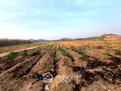 Land for sale Chonburi : Land For Sale Huai Yai Bang Lamung Chon Buri (ID 2812151)