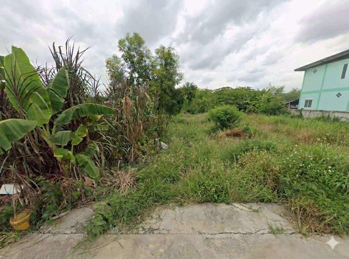 รูป ขายที่ดินสวย 50 ตร.ว. ซอยบงกช 43 คลองสอง-คลองหลวง ใกล้ตลาดไอยรา/ตลาดไท - รูปที่ 2/5