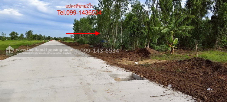 รูป ขายที่ดิน ซอยคลองสี่ 19/1 เนื้อที่ 2 ไร่ ถมแล้ว ขาย 6ล้าน ถนนเลียบคลองสี่ ฝั่งตะวันตก ใกล้ถนนกาญจนาภิเษก วงแหวนรอบนอกฝั่งตะวันออก คลองหลวง ปทุมธานี - รูปที่ 1/5