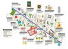 listing thumbnail image 21