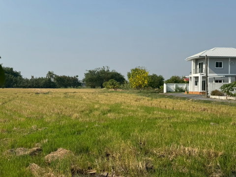 ขายที่ดินสวย ซอยอยู่วิทยา หนองจอก วิวโล่ง ราคาดี **ต่ำกว่าตลาด** (N.2073)