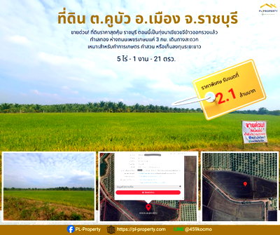 Land for sale Muang Ratchaburi Ratchburi : 🔥 Urgent Sale! Affordable  5 Rai 1 Ngan (Approx. 8,400 sq.m.) in Khu Bua, Mueang Ratchaburi Owner Post