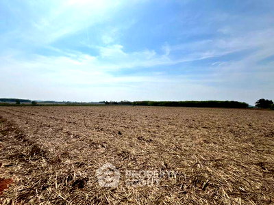Land for sale Chonburi : Land For Sale Hang Sung, Nong Yai Chon Buri (ID 2817007)
