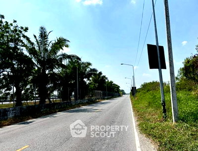 Land for sale Chonburi : Land For Sale In Ban Kao, Phan Thong, Chon Buri (Rare Plot) 📍 (ID 2676161)