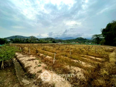 Land for sale Chiang Mai : Pet-Friendly Land For Sale In Mon Pin, Fang, Chiang Mai (ID 2813456)