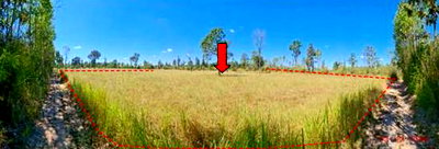 ขายที่ดิน : ที่ดินว่างเปล่า 1165 ตร.วา โขงเจียม อุบลราชธานี 292,000