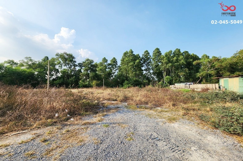 รูป ขายที่ดิน 200 ตร.วา ซอยคลองสี่ตะวันออก 16 คลองหลวง ปทุมธานี ถนนเลียบมอเตอร์เวย์ - รูปที่ 4/5