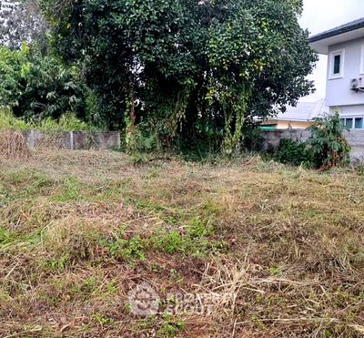 Land for sale Chiang Mai : Land For Sale 65 Sqm In Nam Phrae, Hang Dong, Chiang Mai (ID 2812372)