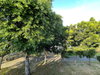 listing thumbnail image 30