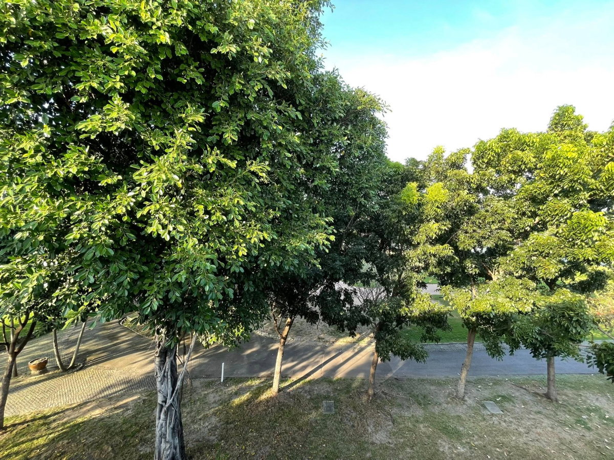 รูป 📢 ให้เช่าทาวน์โฮม 3 ชั้น Patio ศรีนครินทร์-พระราม9 (กรุงเทพกรีฑา) - รูปที่ 31/32
