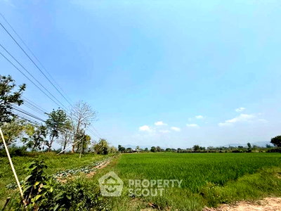 Land for sale Chiang Mai : Land For Sale Inthakhin Mae Taeng Chiang Mai (ID 2812063)