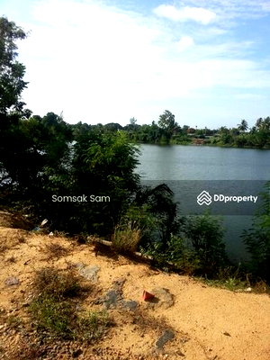 ที่ดิน สวนรุกขชาติกำแพงแสน : ขายที่ดินเปล่า  (ห้วยหมอนทอง) อ.กำแพงแสน จ.นครปฐม