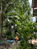 listing thumbnail image 2