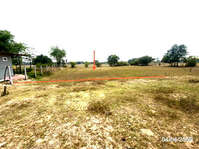 ขายที่ดิน : ที่ดินว่างเปล่า 195.4 ตร.วา เมืองร้อยเอ็ด ร้อยเอ็ด 587,000