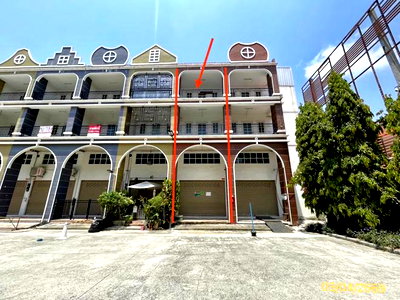 อาคารพาณิชย์ วิทยาลัยการจัดการเพชรเกษม : อาคารพาณิชย์ 17 ตร.วา ทิวลิป สแควร์ กระทุ่มแบน สมุทรสาคร 3.6M