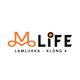 project-m-life-lamlukka-klong-4--a1c508ed-image-alt
