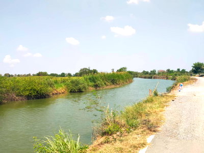ที่ดิน รร.สาธิตม.ราชภัฏนครปฐม : ประกาศขายที่ดิน แปลงใหญ่ นครปฐม 1,264ไร่ ขายเหมามืด 700 ล้าน  เหมาะสำหรับทำโครงการเมืองใหม่ รหัส CV11