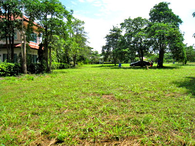 Land for sale Chonburi : Land for sale, 171 square wah, Ban Noen Nam Project, Bang Lamung, Chonburi. Conveniently situated along the Bangkok–Pattaya motorway. 