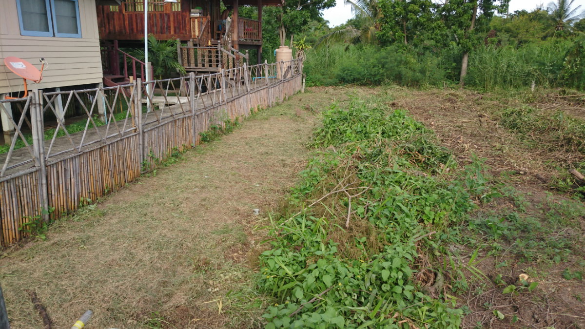 รูป ขายที่ดิน 100ตรว โซนท่องเที่ยว ไกล้วิสาหกิจชุมชนบ้านธูปหอมสมุนไพร และ ตลาดบางน้ำผึ้ง - รูปที่ 4/11