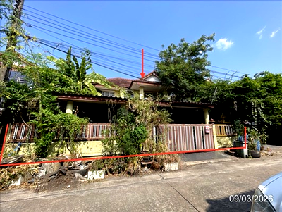 บ้านเดี่ยว ถนนสุวินทวงศ์ : บ้านเดี่ยว 50 ตร.วา ประภาวรรณโฮม ร่มเกล้า 1 เขตมีนบุรี กรุงเทพมหานคร 3.3M