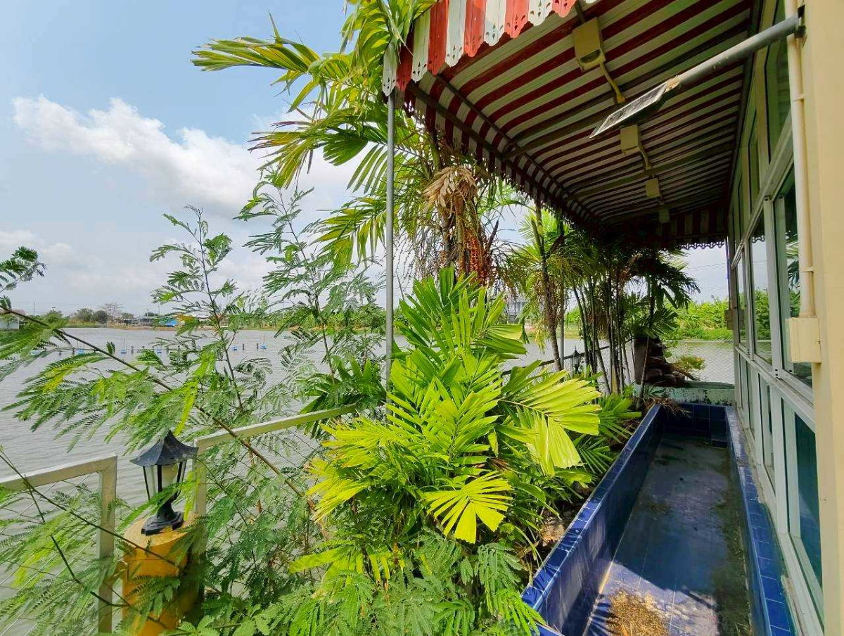 รูป ขายบ้านเดี่ยวชั้นเดียว ริมน้ำ บรรยากาศรีสอร์ท ถนนศรีวารี ใกล้สนามบินสุวรรณภูมิ - รูปที่ 6/19