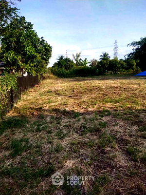 Land for sale Bang Kruai - Sai Noi Road : Land For Sale 46.9 Sqm In Sai Noi, Nonthaburi (ID 2830005)