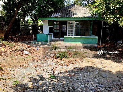 เช่าบ้านเดี่ยว ถนนสุขุมวิท : ให้เช่าบ้านเดี่ยวใกล้โรงเรียนนานาชาติ