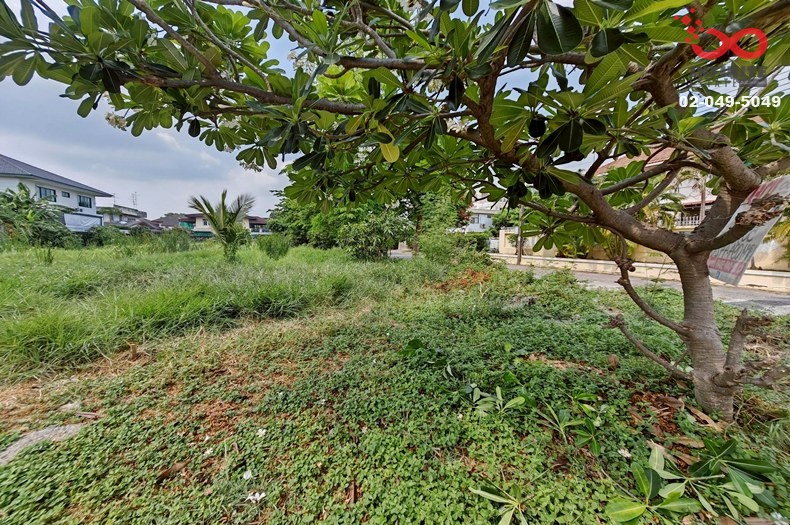 รูป ขายที่ดิน 186ตร.วา หมู่บ้านเกษตรนิเวศน์ แจ้งวัฒนะ 14 แปลงมุม ใกล้รถไฟฟ้า,ทางด่วน  - รูปที่ 5/7
