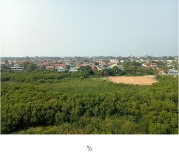 picture CONDO 34.05 Sq.m. Muang Chon Buri Chonburi for 2M - 11/13