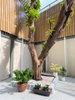 listing thumbnail image 9