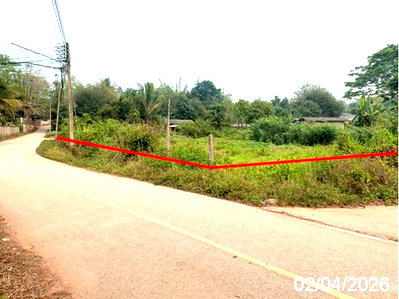 Land for sale Chiang Mai : LAND 426.4 Sq.w. Fang Chiang Mai for 1.3M