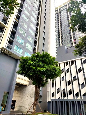 ขายคอนโด : ห้องชุด/คอนโดมิเนียม 24.46 ตร.ม. ห้องชุด โพรดิจี้ เอ็มอาร์ที บางแค [ชั้น 19 อาคาร A] ภาษีเจริญ กรุงเทพมหานคร 1.9M