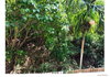listing thumbnail image 16