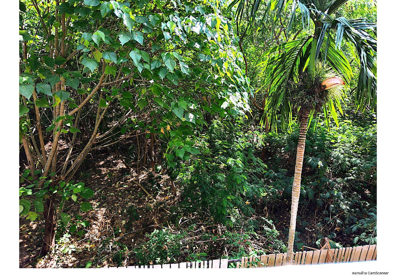 picture CONDO 28.96 Sq.m. Muang Phuket Phuket for 2.8M - 17/20