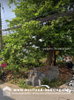listing thumbnail image 4
